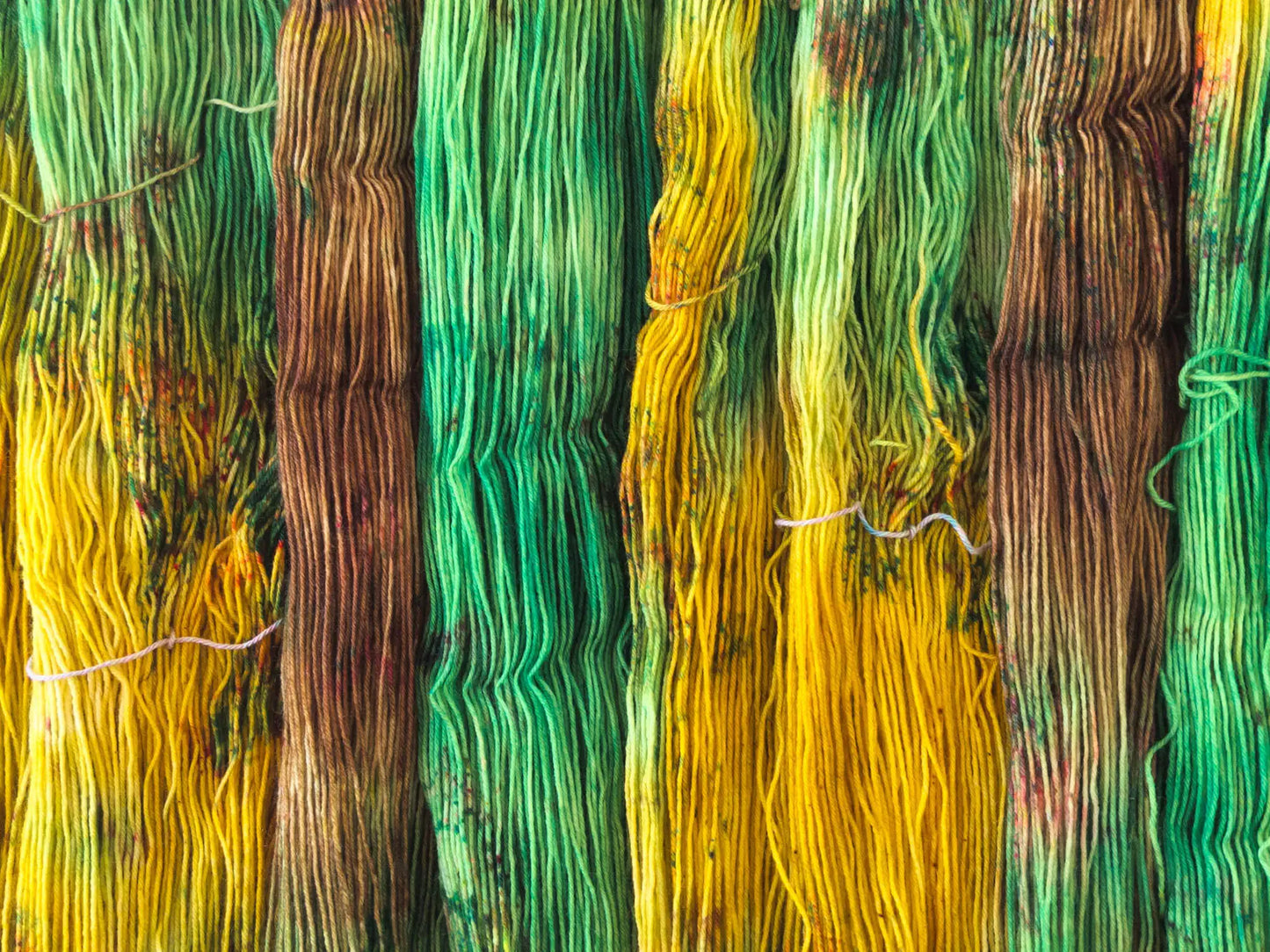 St. Patricks Day - Monatsfärbung März 2026