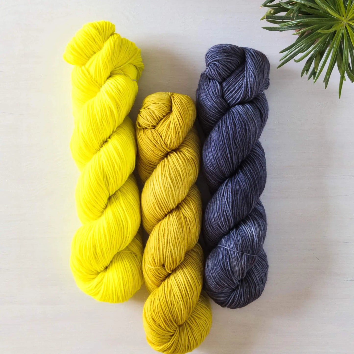 Senfsaat - Blue Socks Trio