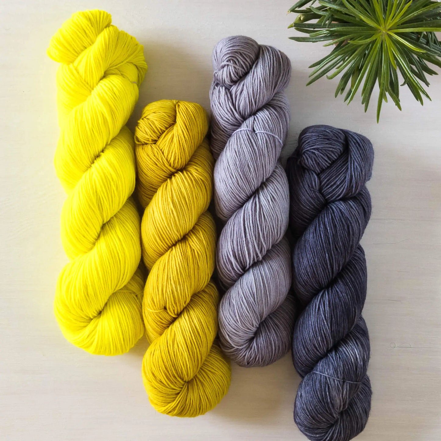 Stone Mustard - Blue Socks Quartet