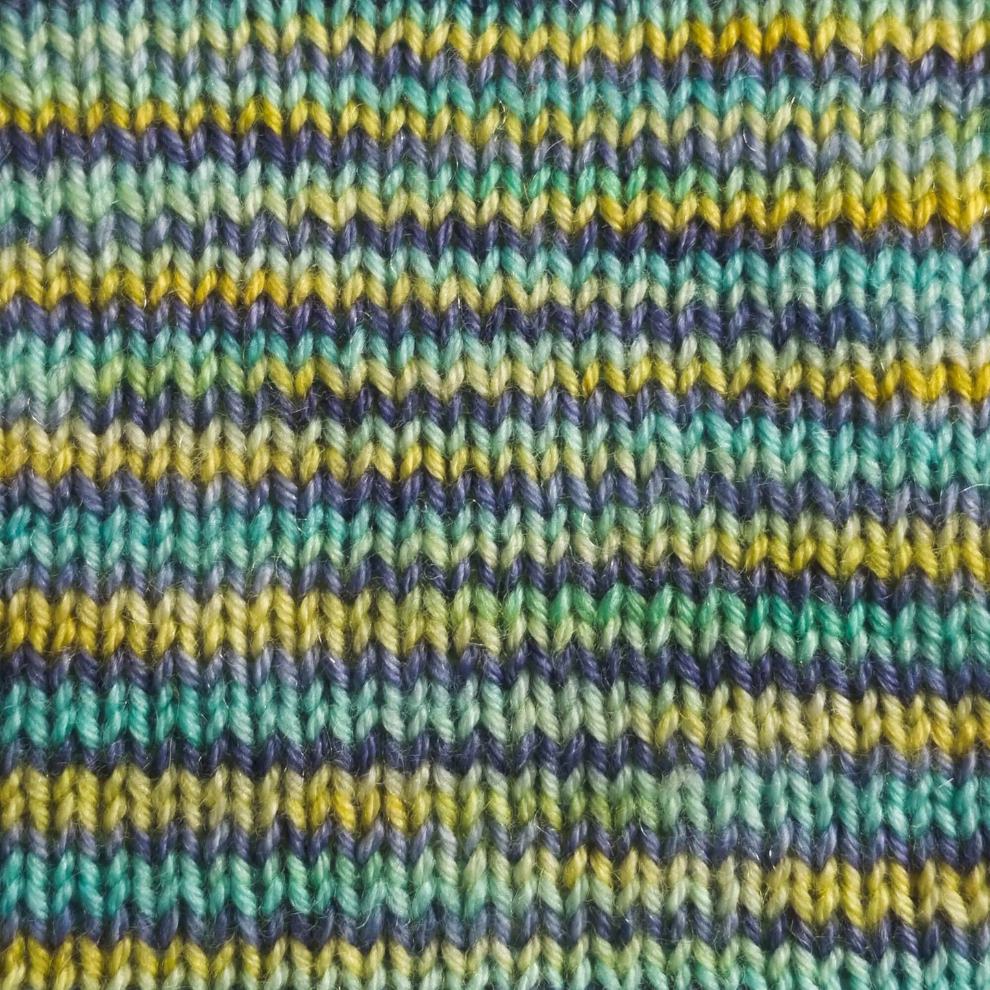 ColourBalance Wellensittich (Monatsfärbung Mai 2023)