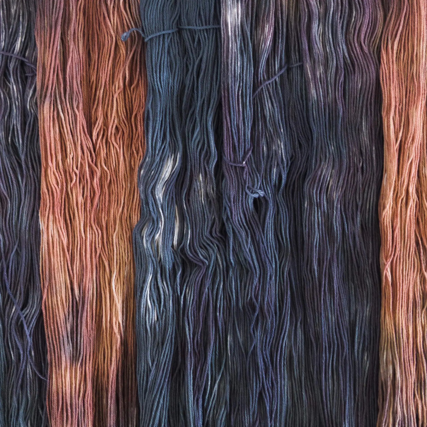 ColourCotton Dragon