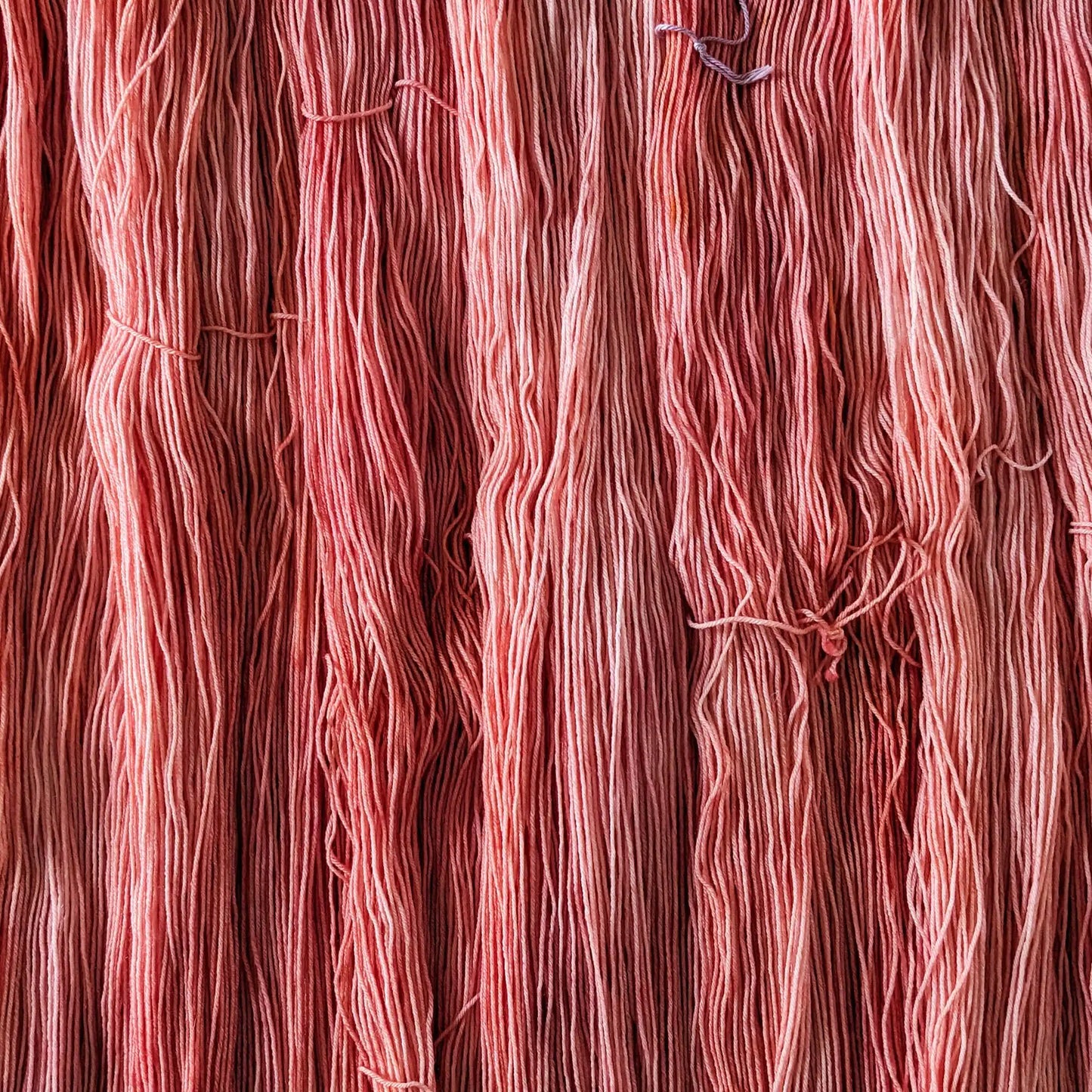 Peach Blush - Blue Socks (BFL/Nylon)