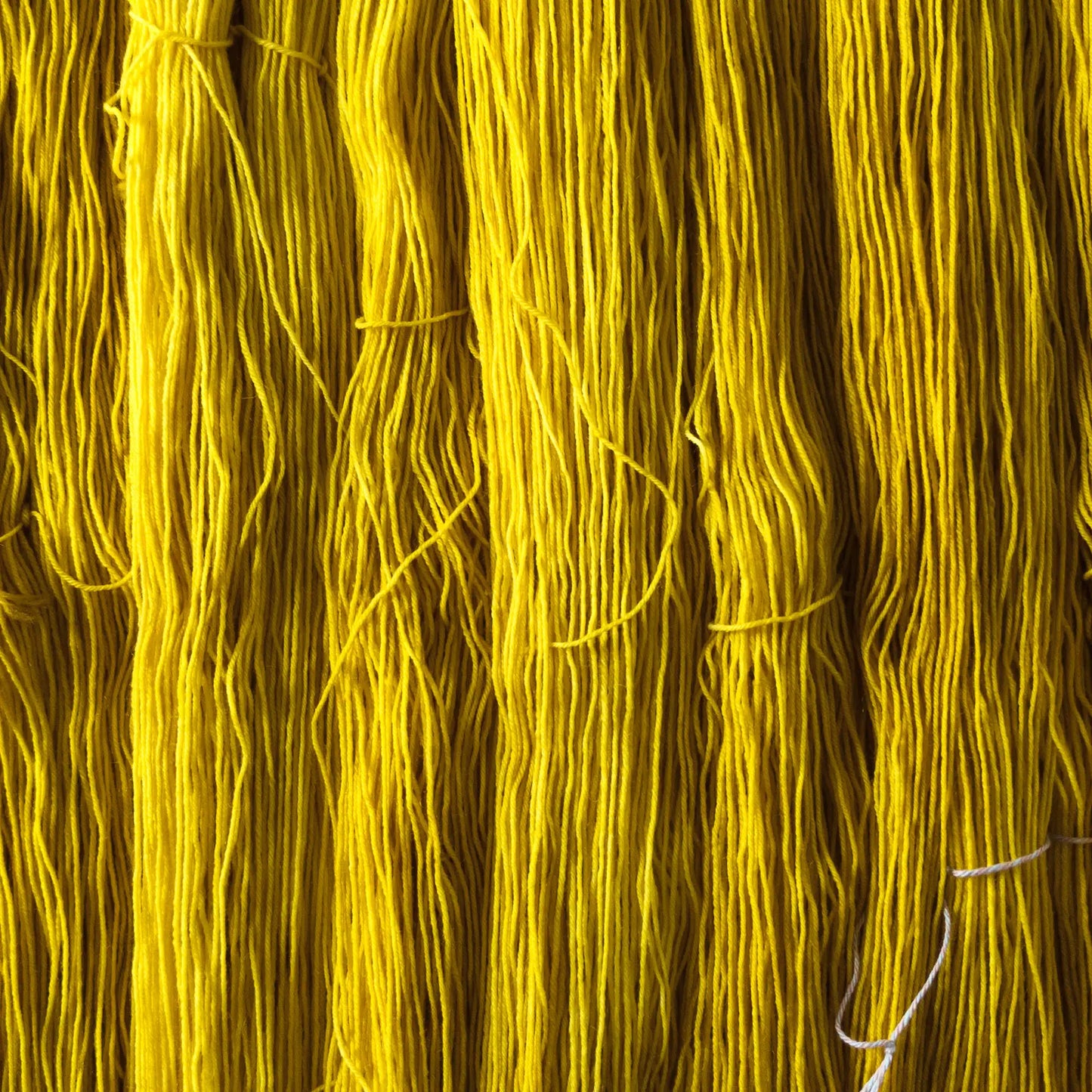 Senf - Blue Socks (BFL/Nylon)