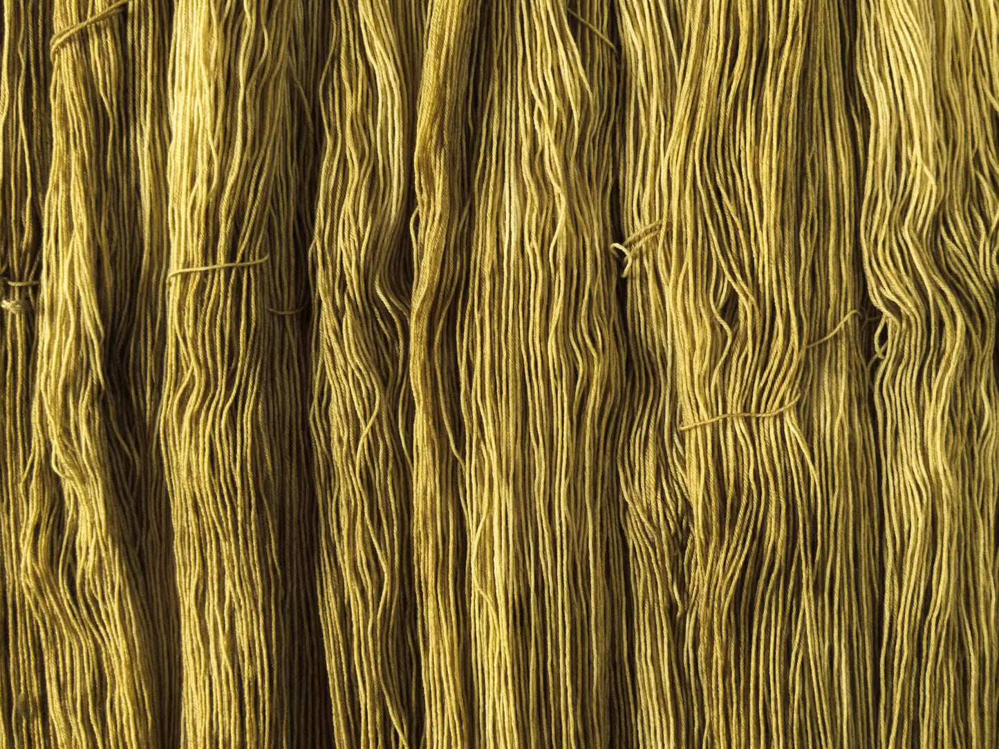 Olive Oil - Blue Socks (BFL/Nylon)