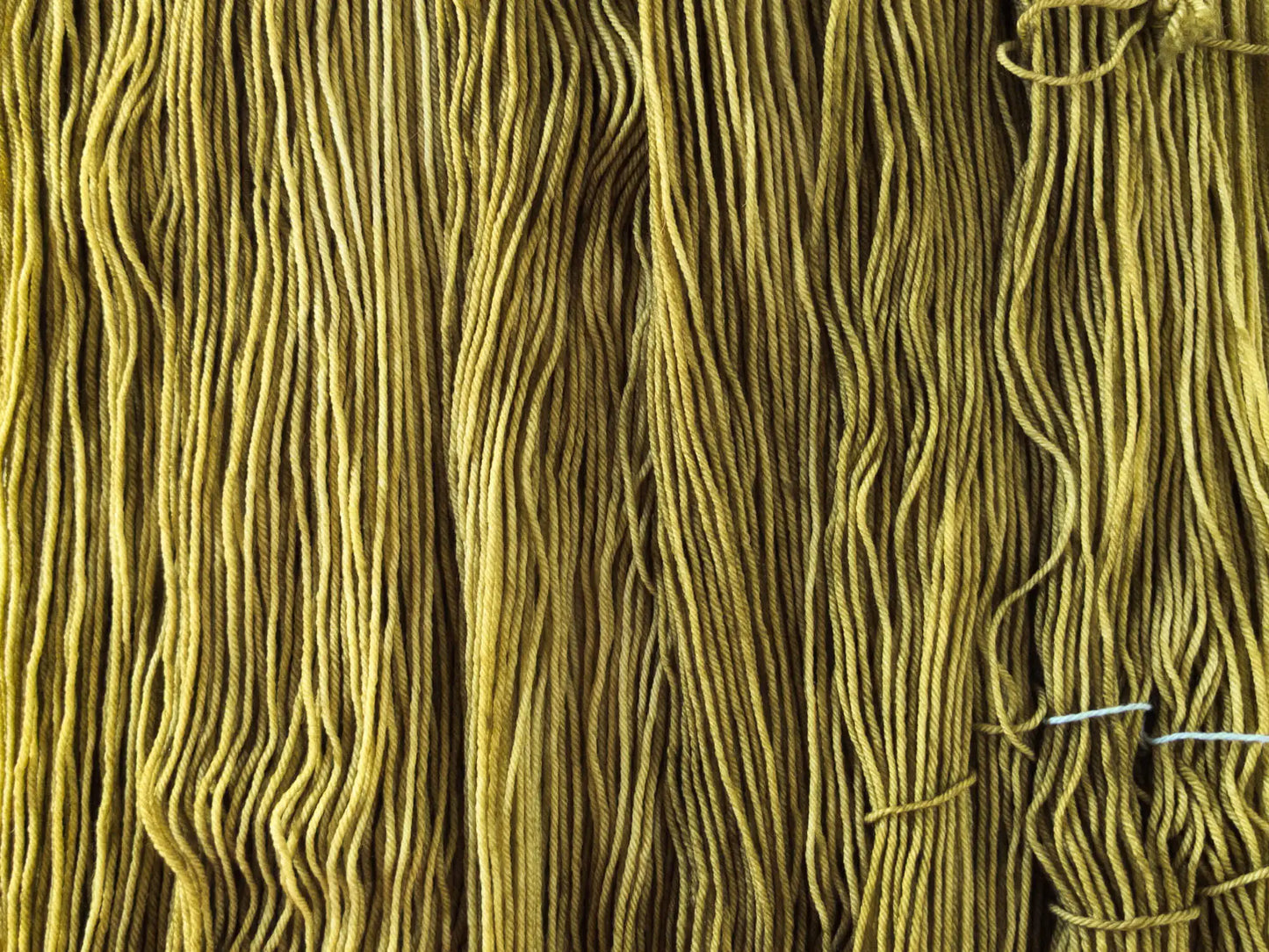 Olive oil - Blue DK (BFL)