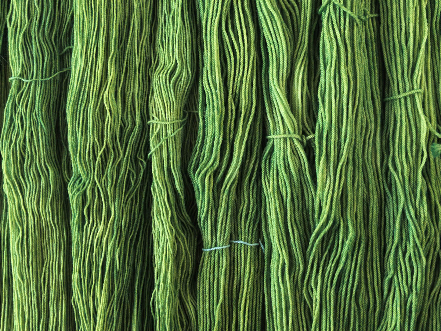 Farngrün - Autumn Dyes