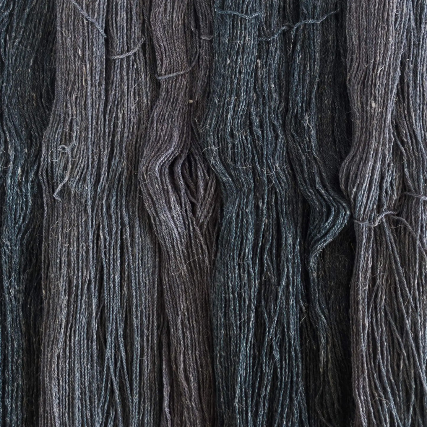 ColourLine Schwarz