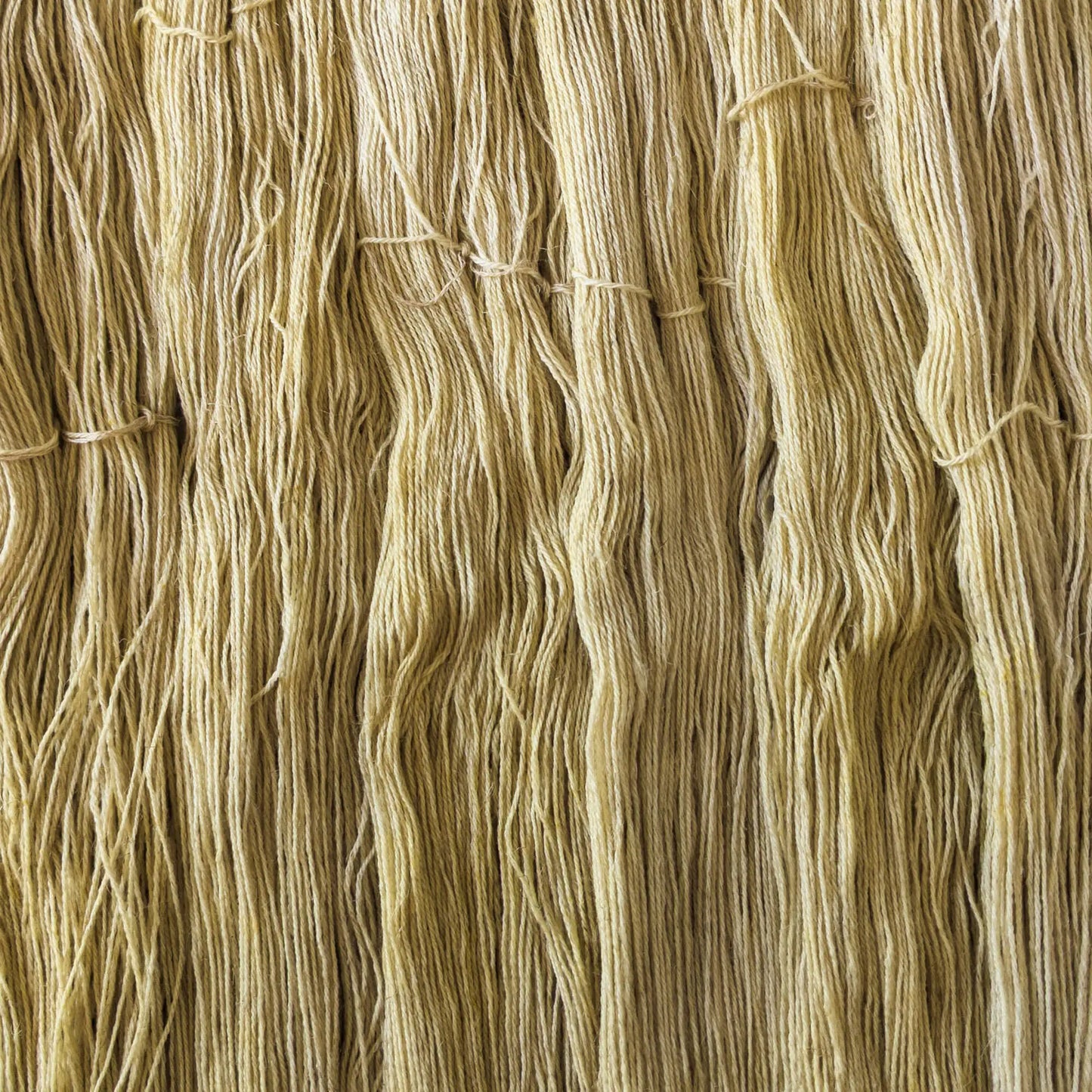 ColourLine Vanille
