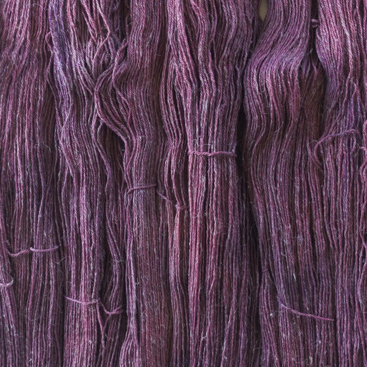 ColourLine Black Cherry