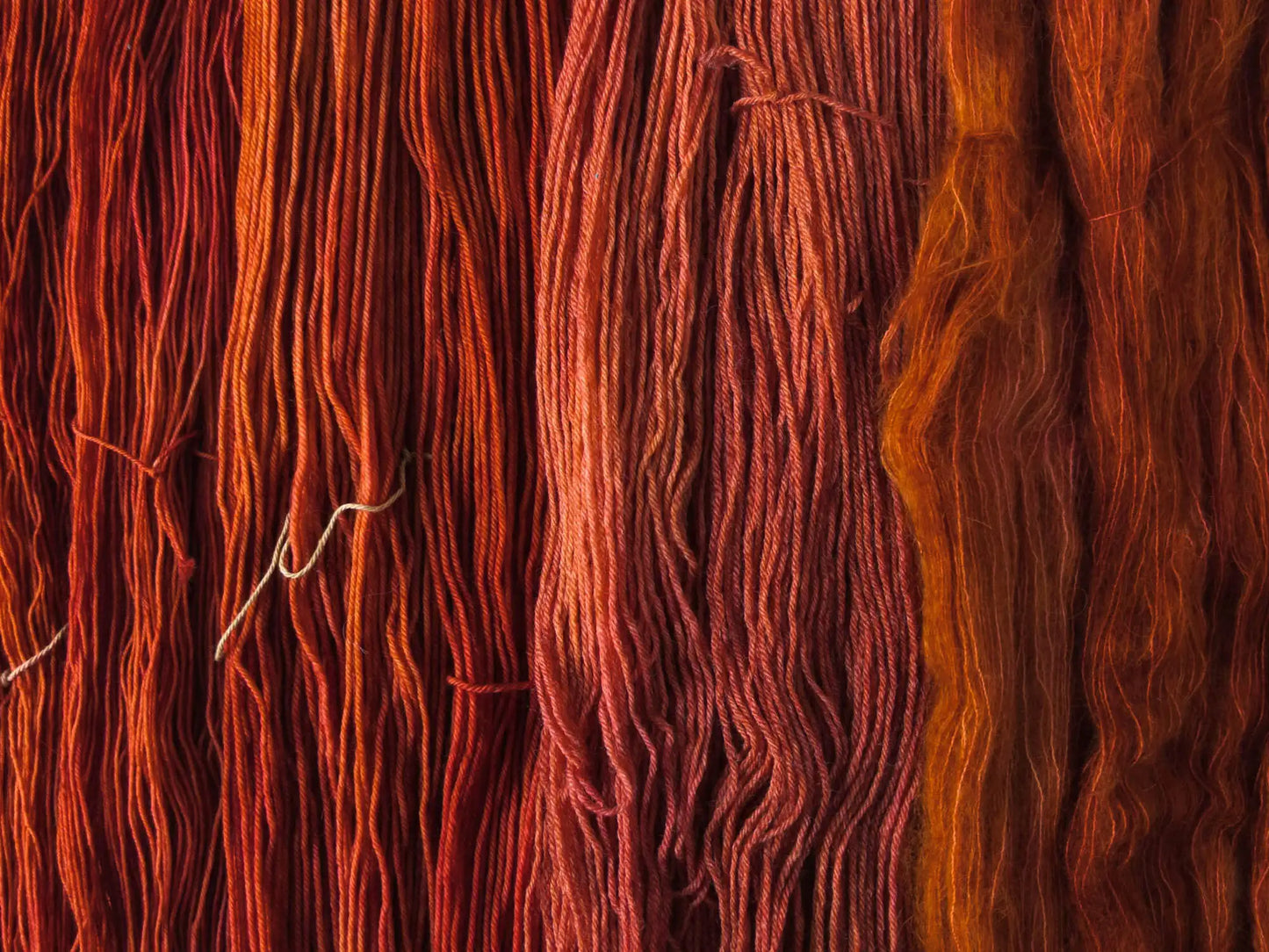 Zimtherz - Winter Dyes