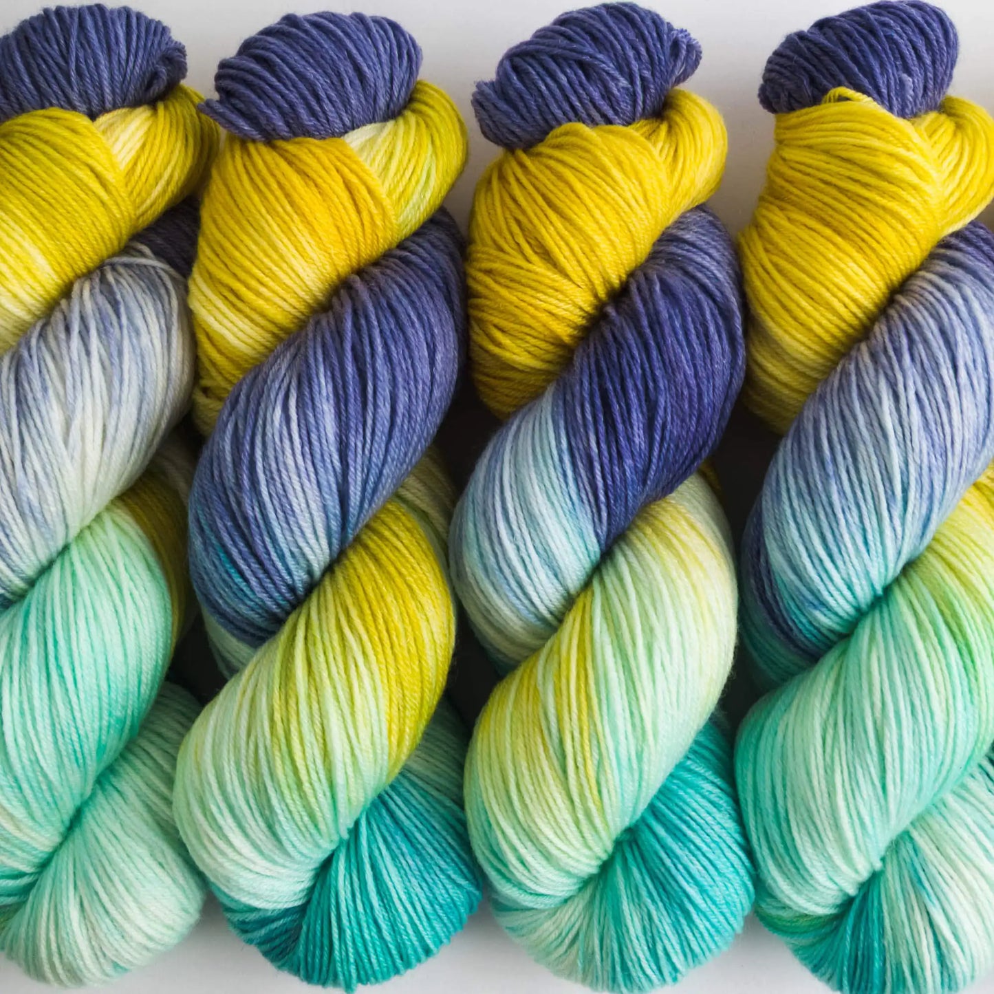 ColourBalance Wellensittich (Monatsfärbung Mai 2023)