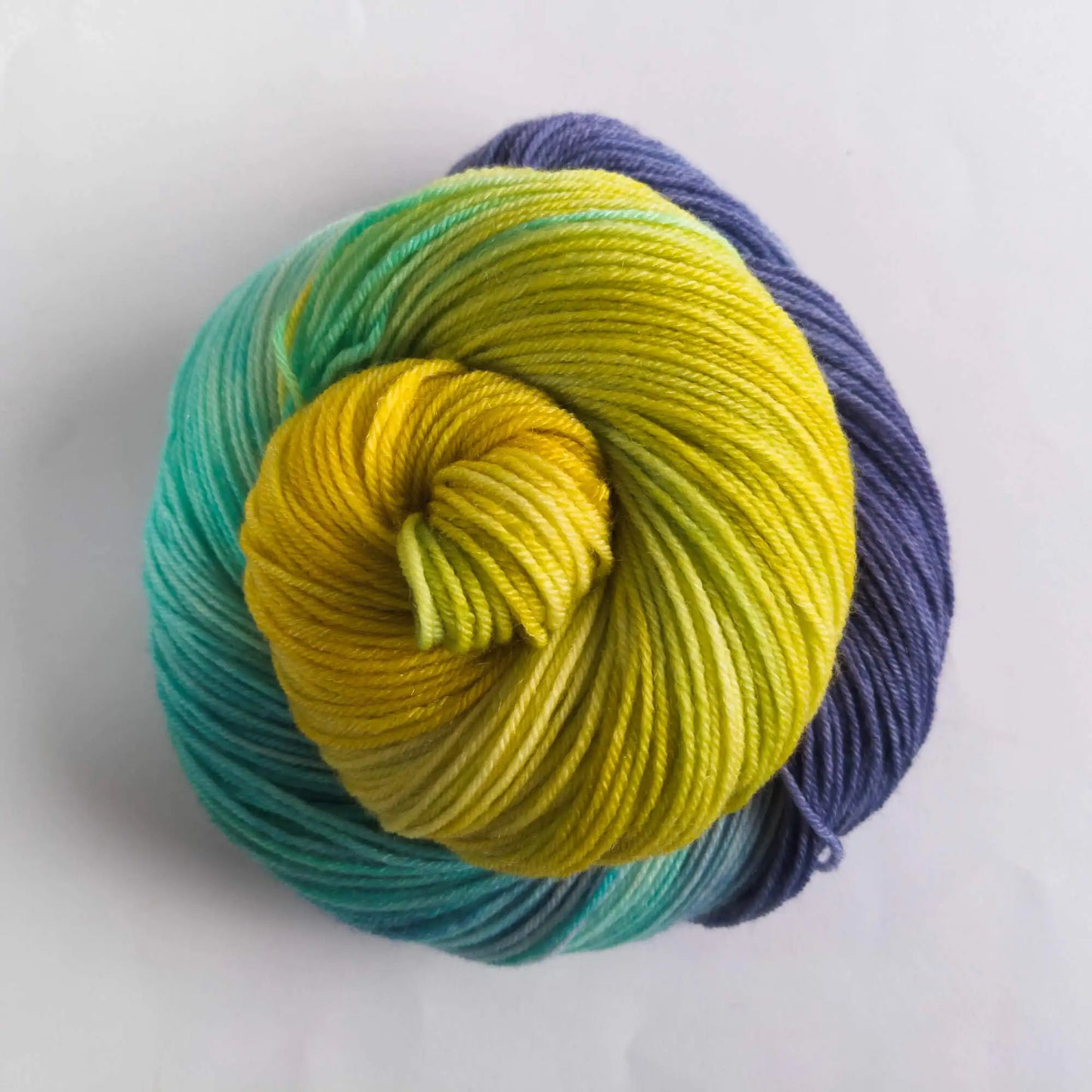 ColourBalance Wellensittich (Monatsfärbung Mai 2023)
