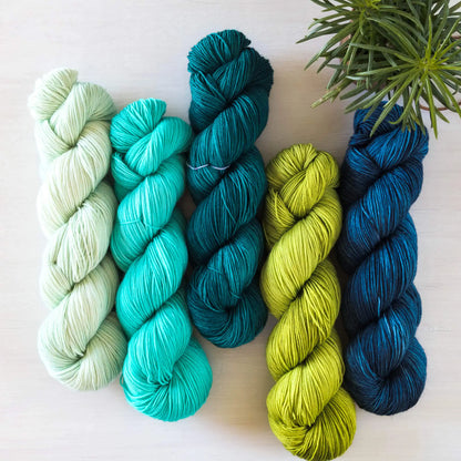 Coastal Breeze - Blue Socks Quintet