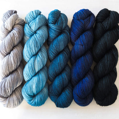 Moonlight Shadow - Blue Socks Quintet