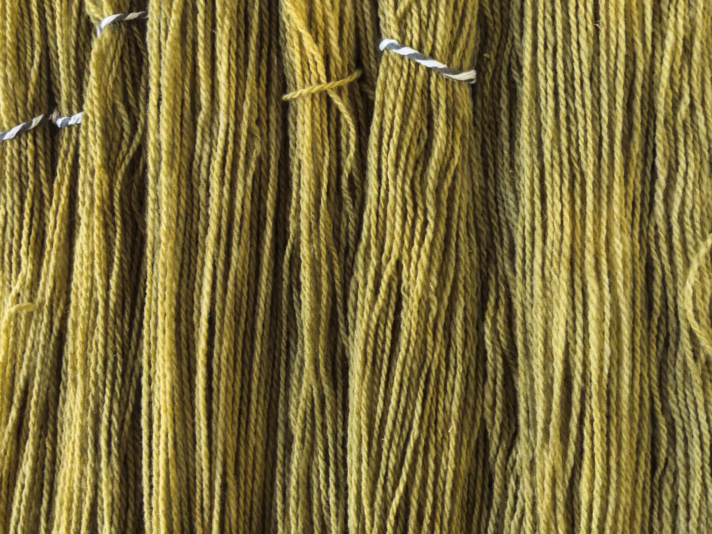 Olive Oil - Wiese (100% German Merino nonsuperwash) *Dye to order
