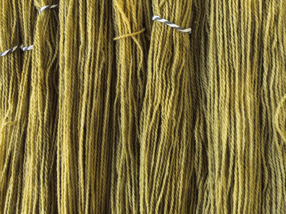 Olive Oil - Wiese (100% German Merino nonsuperwash) *Dye to order