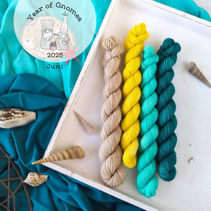 Year of Gnomes Abo - Blue Socks Minis